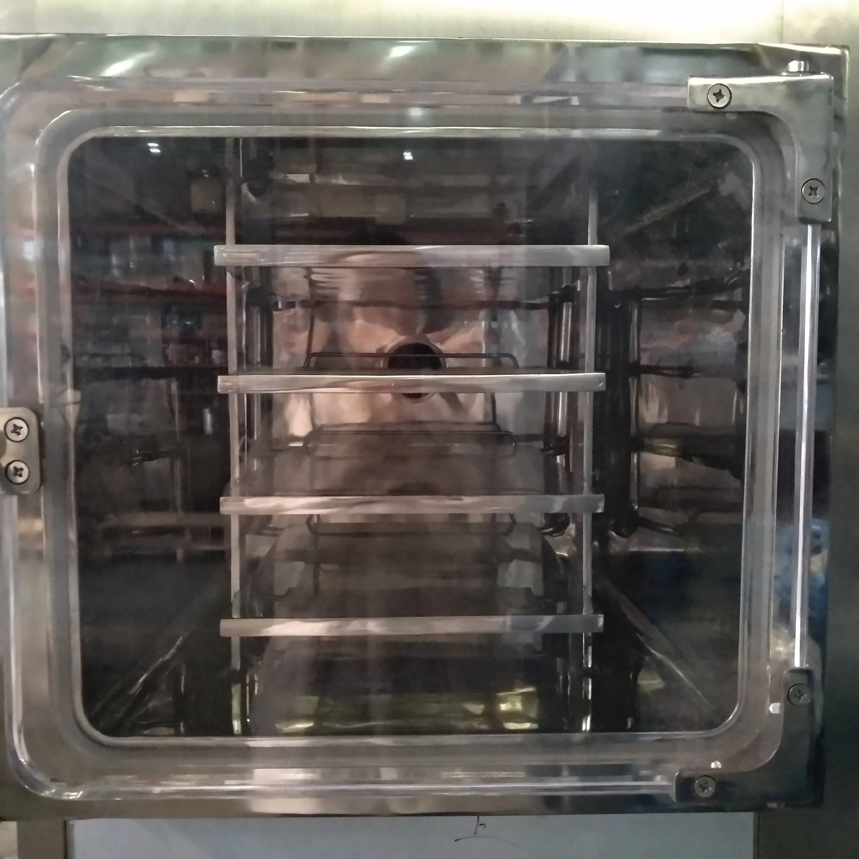 freeze drying equipment for food