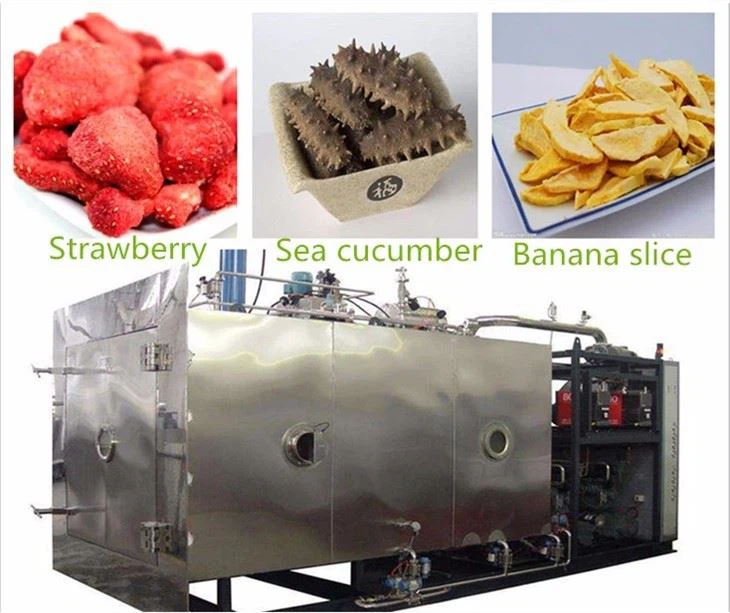 buy Pharmaceutical freeze dryer